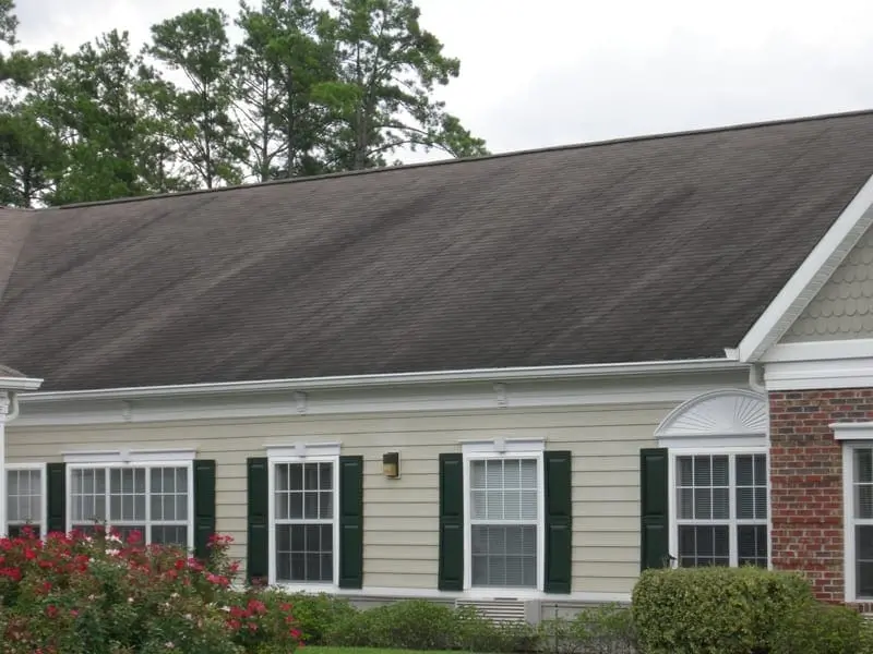 algae-stained roof