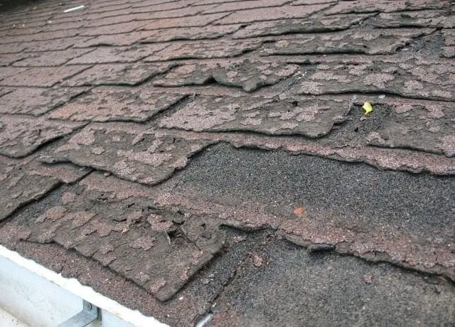 roof rot