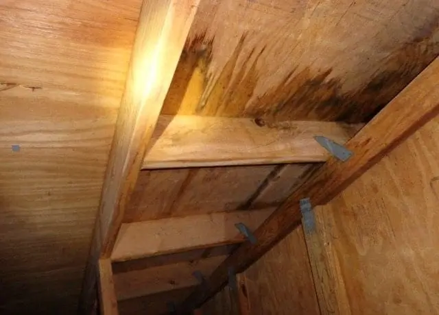 roof stain in the attic