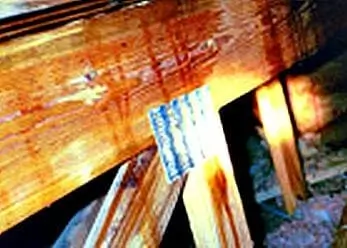 roof leaks ceiling spots damage